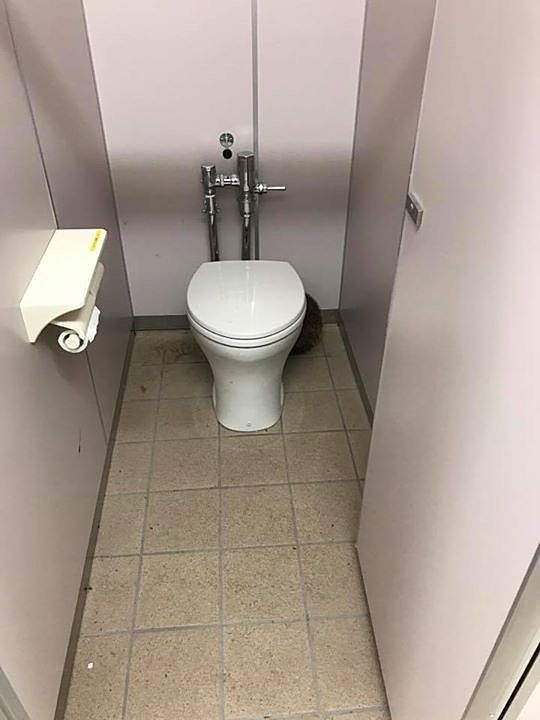 公衆トイレにて未知との遭遇